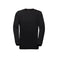 Mammut Mens Core ML Crewneck Alpinist