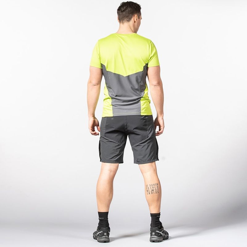 Bergans Mens Floyen Shorts