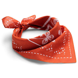 Amundsen Sports Vagabond Bandana