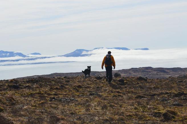 I love my dog as much as I love “adventure”