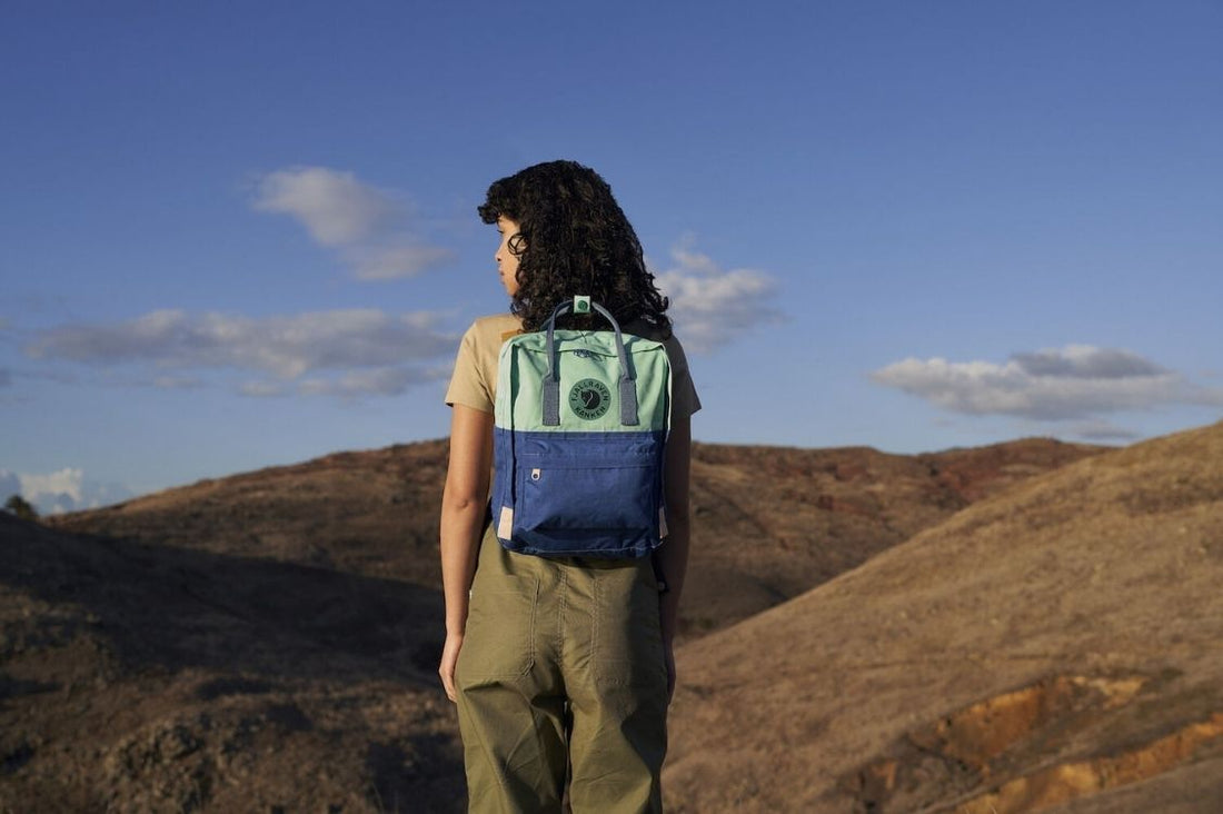 Fjallraven Kanken Art: Free Horizon