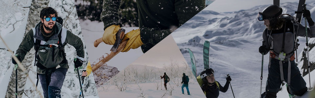 WHY DOGS ARE THE ULTIMATE COMPANIONS