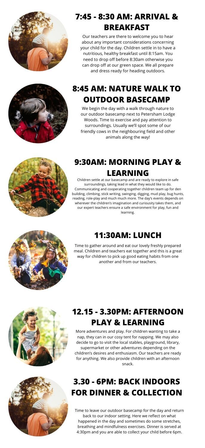 Outdoor Owls Richmond