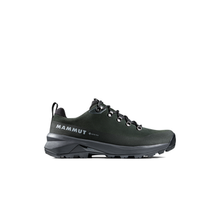 Mens Ducan 3 Low LTH GTX