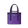 Pace Purple/Blue