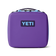 Pace Purple/Blue