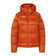 Klein / Herbst Larice