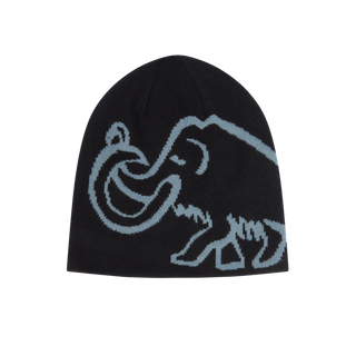Mammut Logo Beanie Wende-Mütze