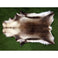 Gealtan Reindeer Hide- Large with Standard Finish