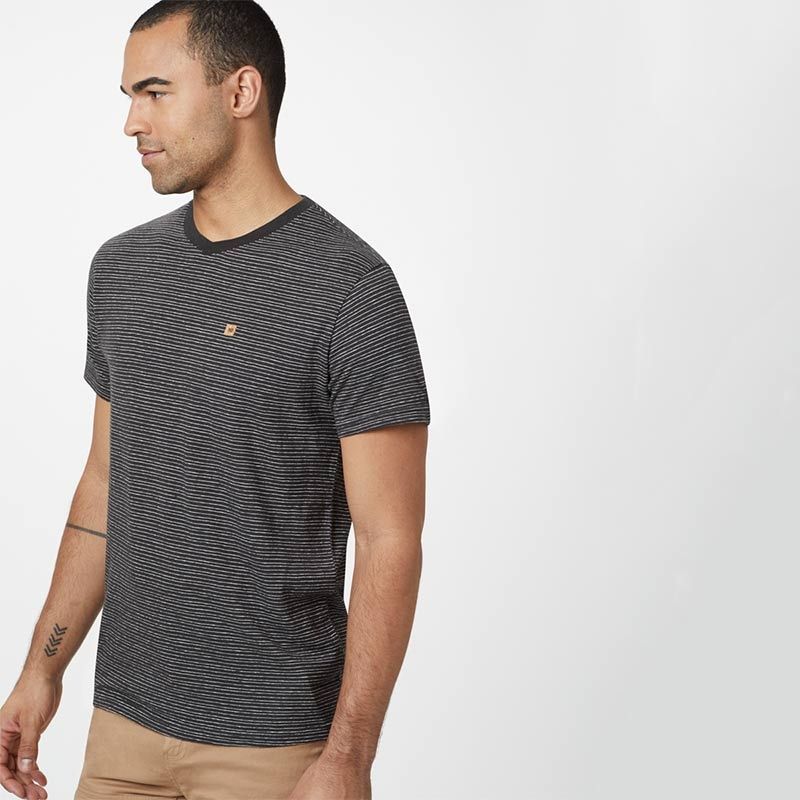 Tentree Mens Hemp V-Neck T-shirt