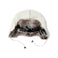 66°North Kaldi Arctic Hat