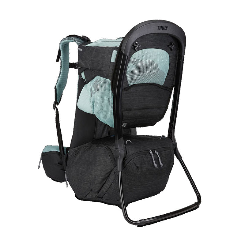Thule Sapling Child Carrier