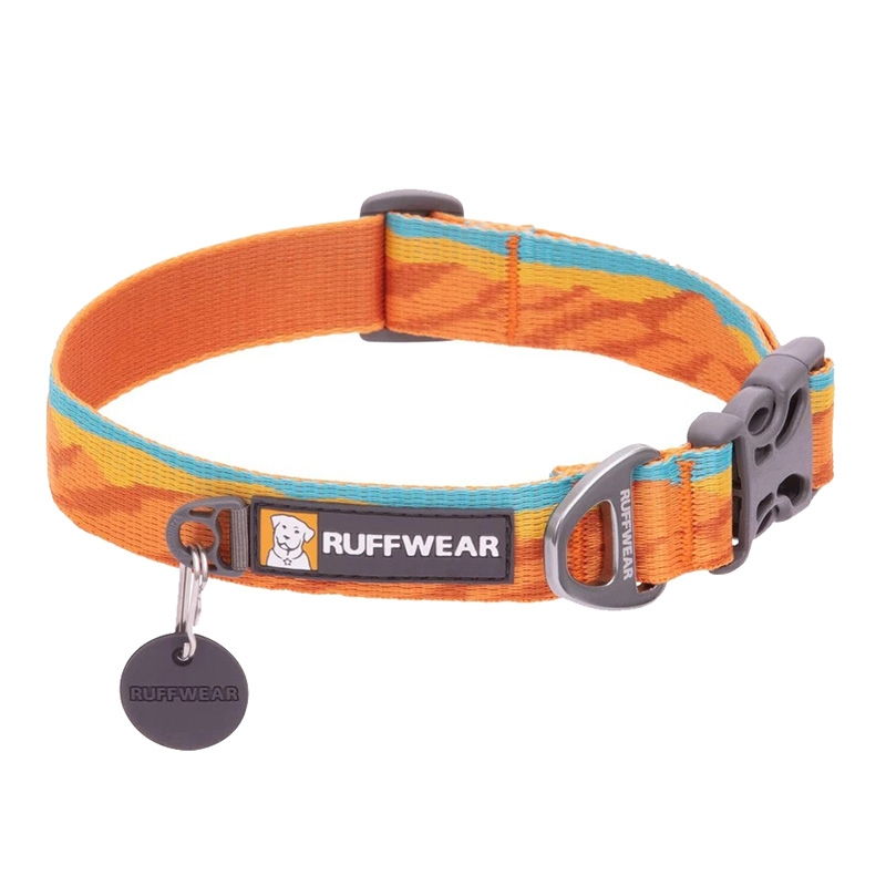 Flat 2025 buckle collar