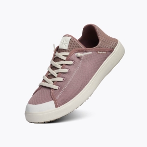 Tropicfeel Sunset Shoe