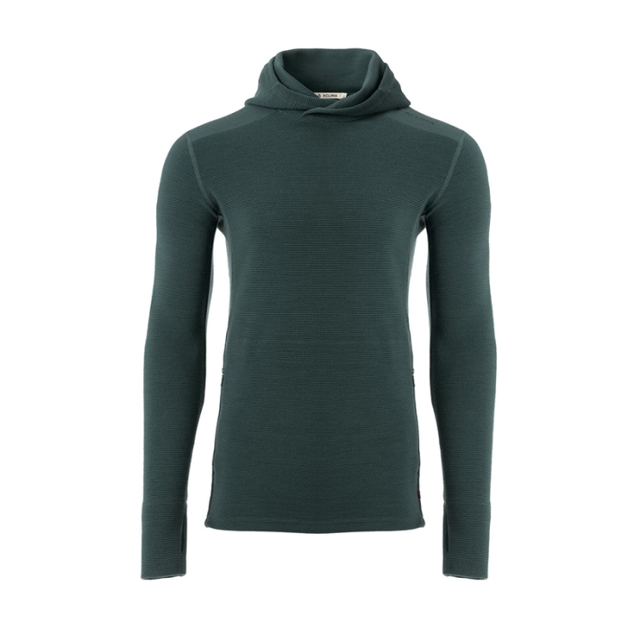 Aclima wool hoodie top